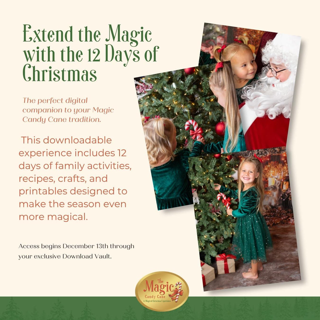 Twelve Days of Christmas Digital Experience